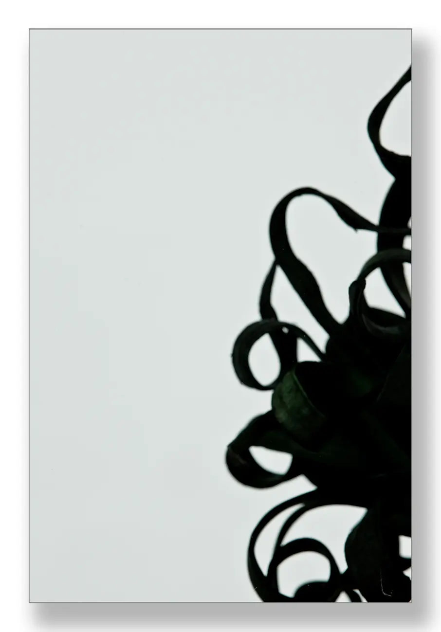 Groen getint glas op maat – transparant groen glas 4 Groen getint glas op maat – transparant groen glas - Afbeelding 3