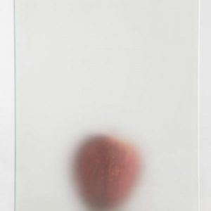 Mat glas -transparant