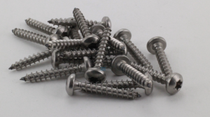 RVS houtschroef Torxkop 5 x30 of 50 mm
