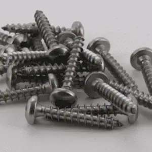 RVS houtschroef Torxkop 5 x30 of 50 mm