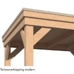 Alternative view of Overkapping vrijstaand Modern - Douglas