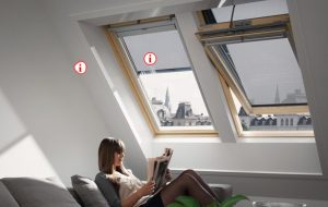VELUX GLAS DAKRAAM VERVANGEN