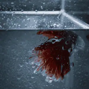 EXTRA HELDER AQUARIUMGLAS OP MAAT