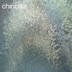 Gehard Chinchilla glas op maat – Veiligheidsglas 4 Gehard Chinchilla glas op maat – Veiligheidsglas