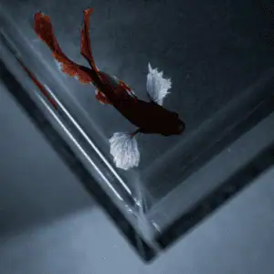 GEHARD AQUARIUM GLAS OP MAAT