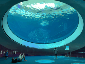 GEHARD GELAAGD AQUARIUMGLAS OP MAAT