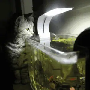 AQUARIUM GLAS OP MAAT